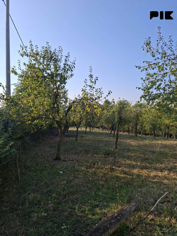 Zemljište Srebrenik, Lisovići, Podorašje