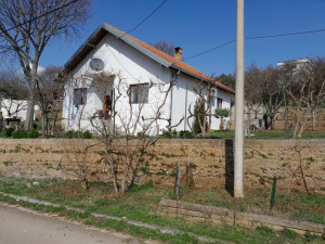 House Čapljina photo 3