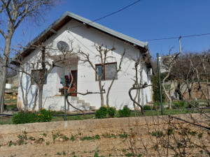 House Čapljina photo 5
