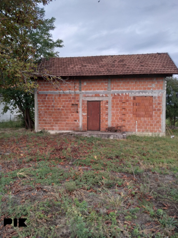 Bosanski luzani