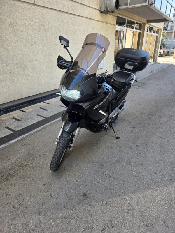 HONDA TRANSALP XL 650 2000G 065 007 017