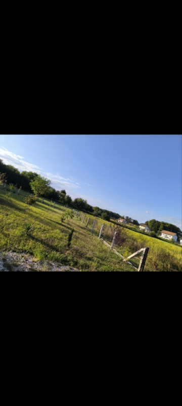 Plac Veliko Blasko Laktasi Slatina 3
