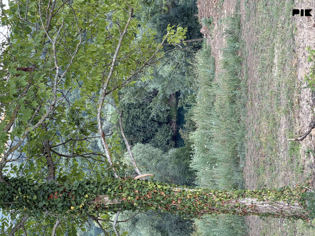Vikendica Bihać 2