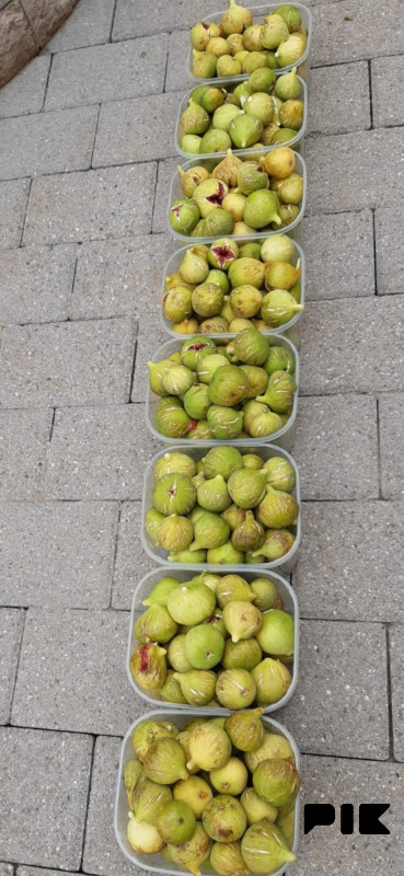 Premium imanje s vikendicom na poluotoku Vojno (Mostar) 17