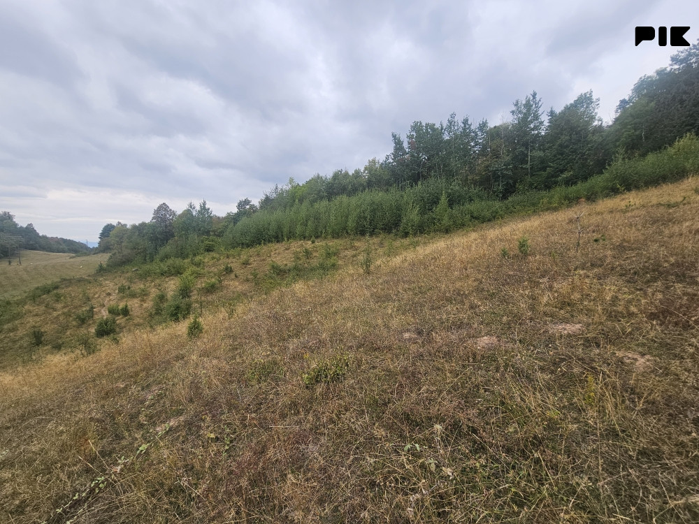 Zemljište Plac Istočno Sarajevo Tvrdimici 3906 m2 8