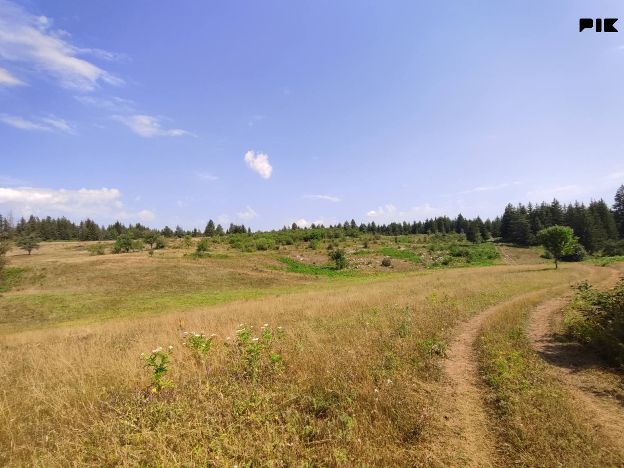 Zemljište površine 9.179m2 u blizini SRC Ajdinovići, Nišići,Olovo