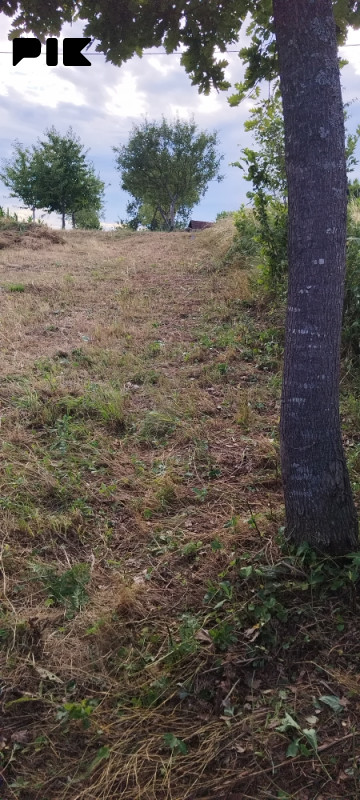 Zemljišta sa šumom Gornji Orlovci, KO Božići 5