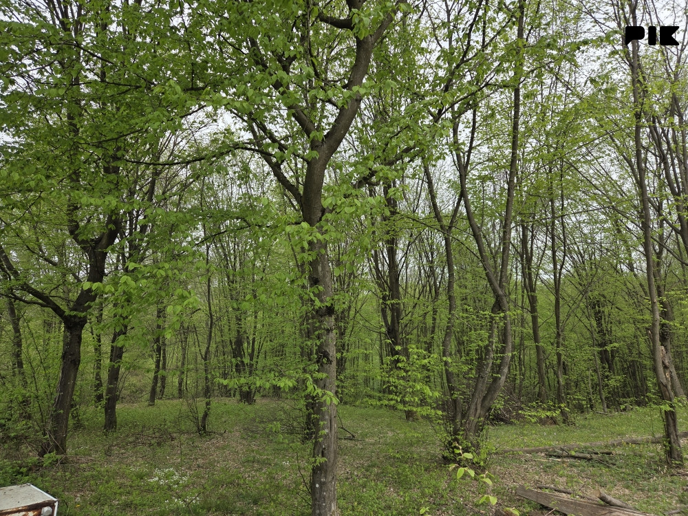 Zemljište-plac Trn 066/434-495