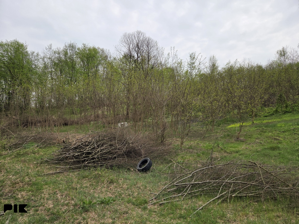 Zemljište-plac Trn 066/434-495 2