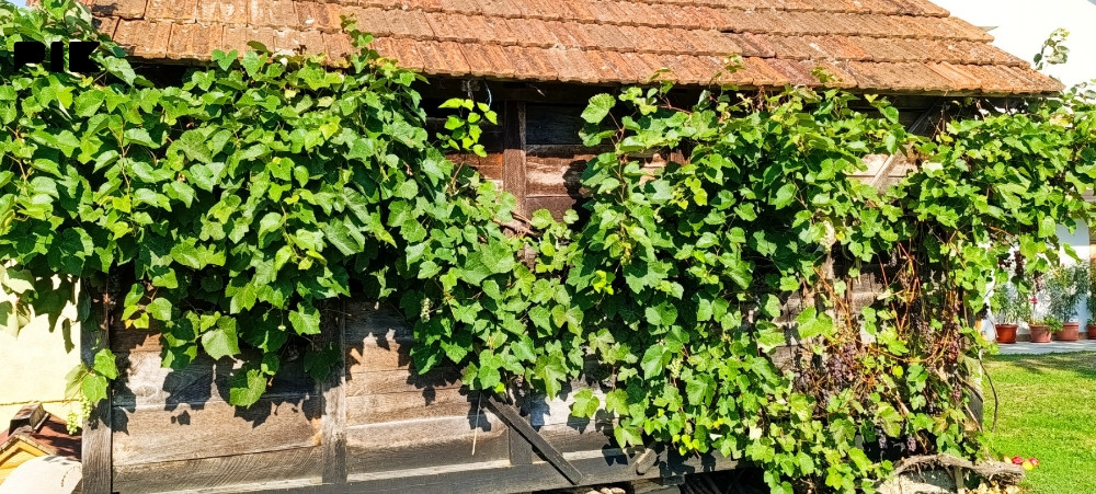 Magaza, kijer, ambar 3