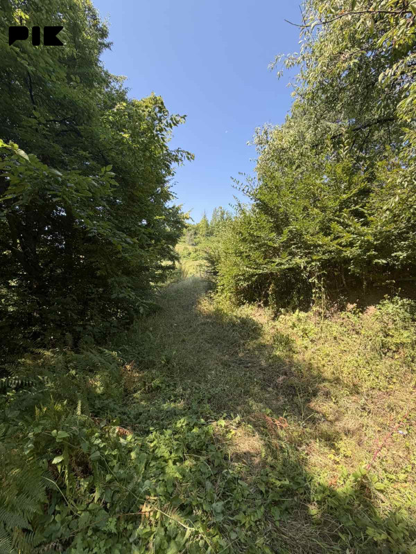 ZEMLJISTE 4126 m2 GORNJE VLAKOVO -ILIDZA 3