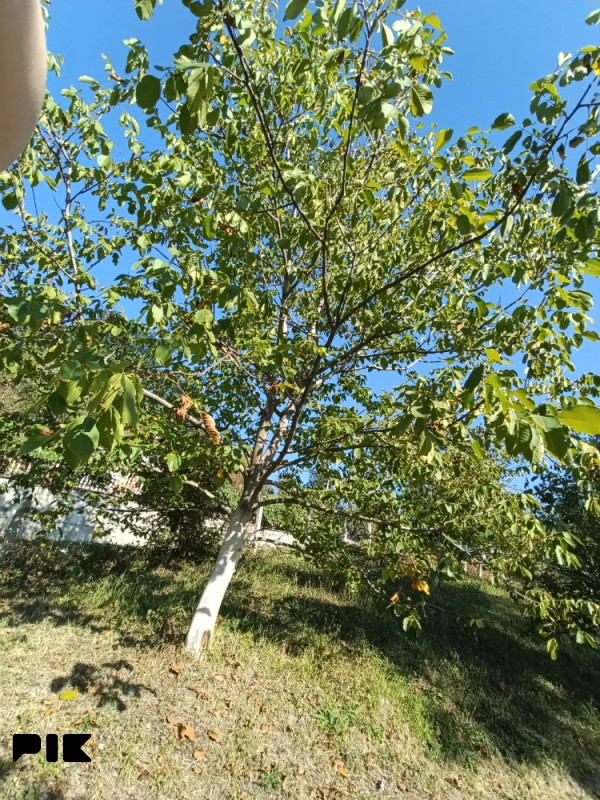 Zemljište Tuzla 3
