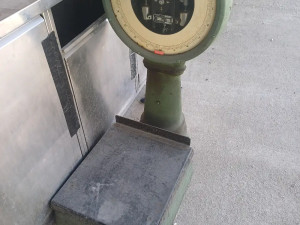 VAGA TOLEDO 20kg