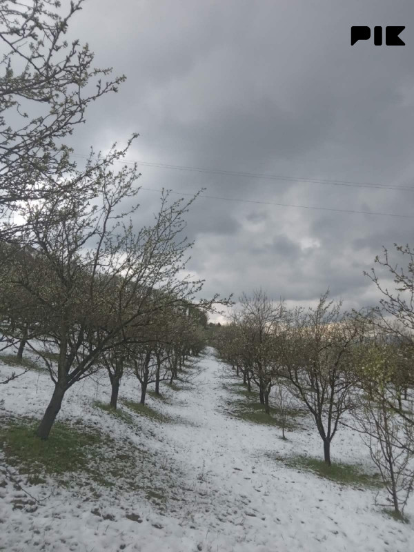 Zemljište Srebrenik