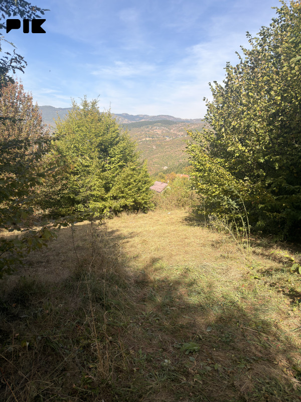 Jarcedoli - Zemljište  - Stari Grad 3