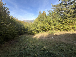 Zemljište, 5000 m², Sarajevo