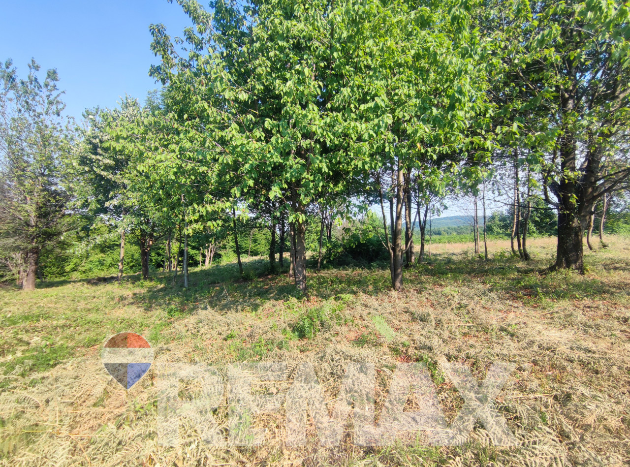 Zemljište 2521m2, Ponir, pogodno za vikendicu 3