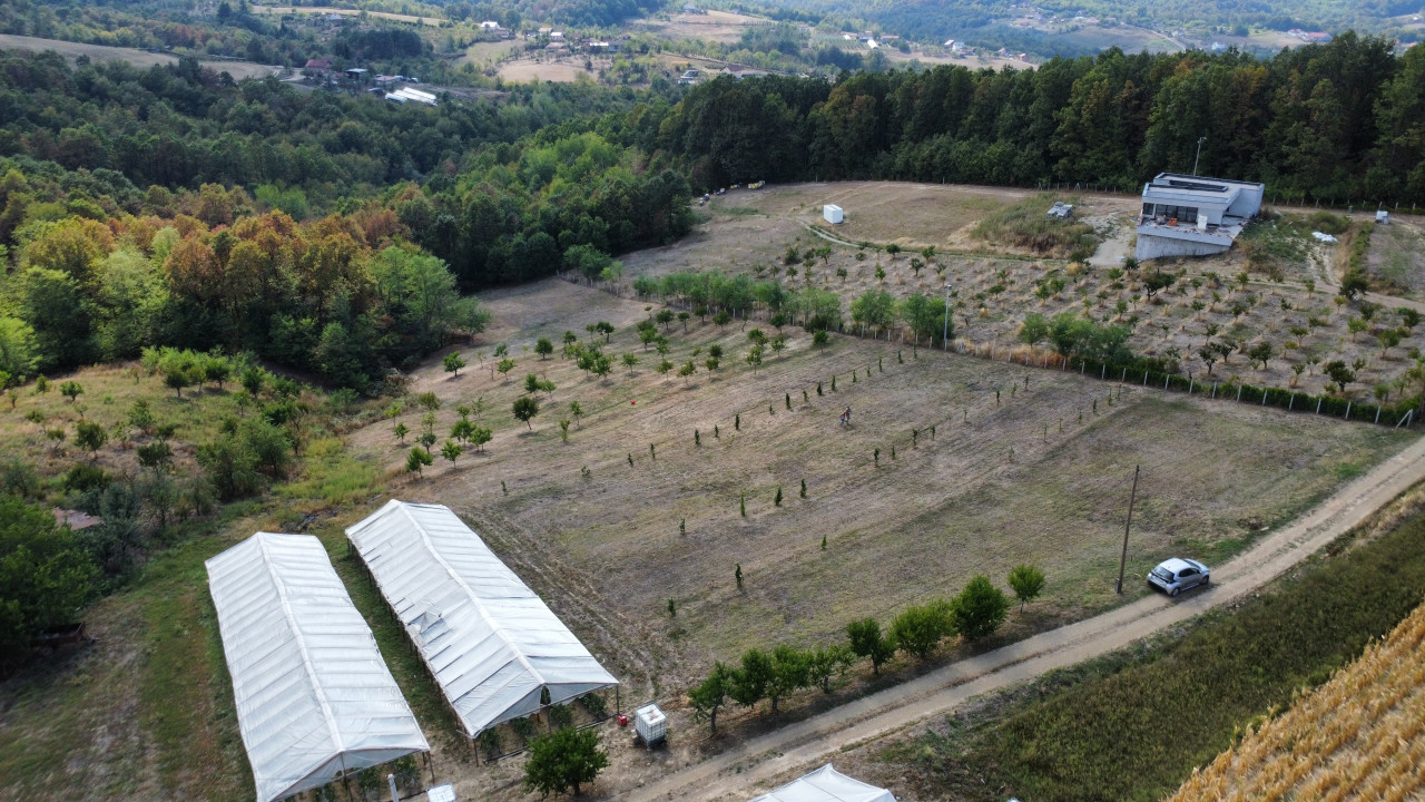 Plac - Slatina - Đukića brdo - 4358 m2 2