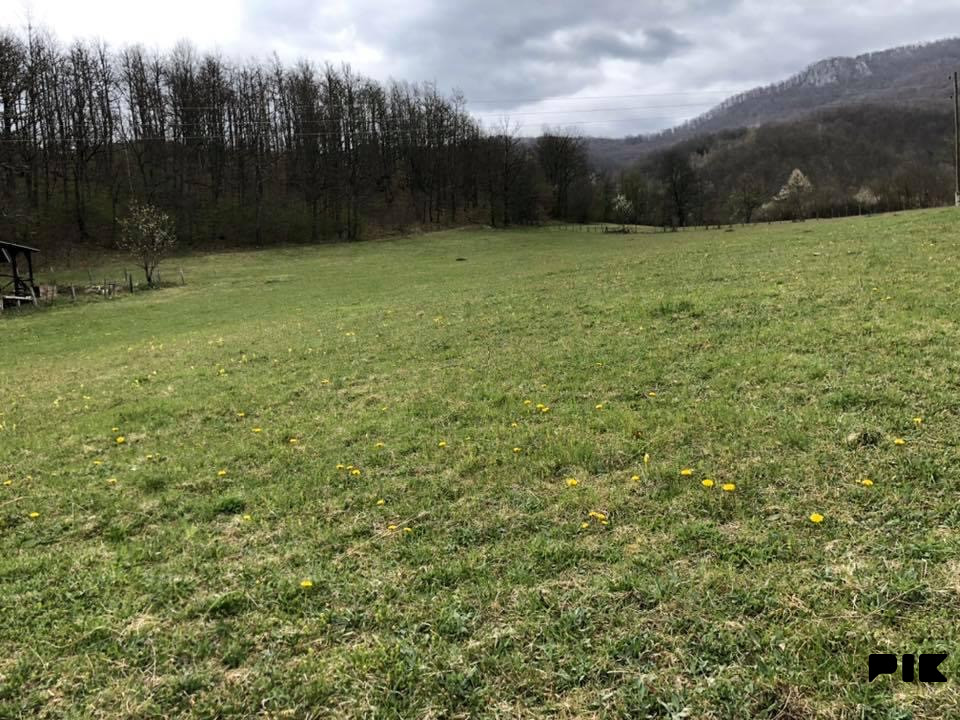 PICCOLO GRANDE PRODAJE/Zemljiste/Hrenovica/8000 m2 3