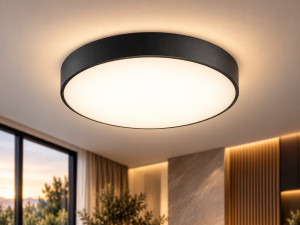 LED plafonjera 24W 4000K CRNA I BIJELA