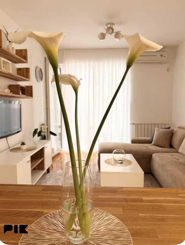 Prodaja namjestenog stana, 39 m2, Tibra II 3