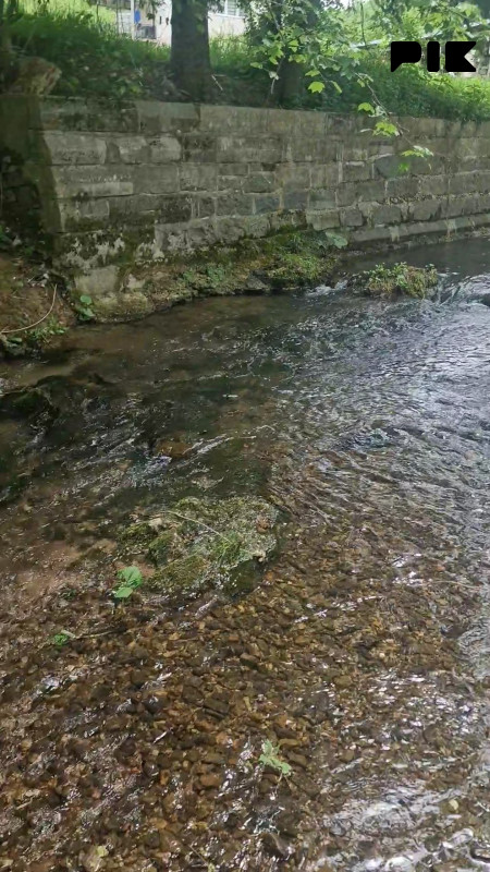 KUĆA (VIKENDICA) PORED RIJEKE SUTURLIJE 3