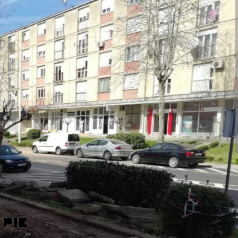Stan Čapljina