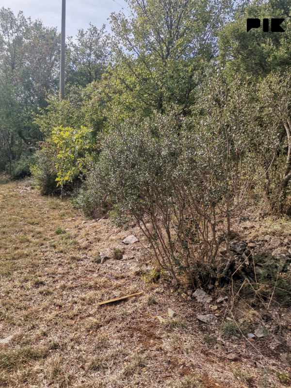 Zemljišta Trebinje 2000m2 3