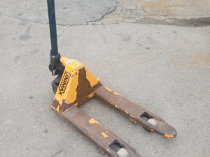 PALETAR KRATKI