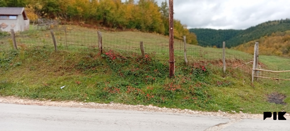 Zemljište Zemljište