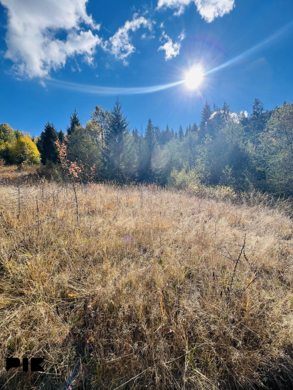 Zemljište Pale 3000m2 2