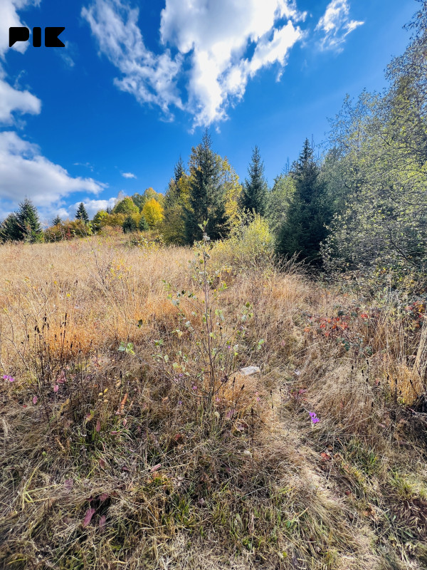 Zemljište Pale 3000m2