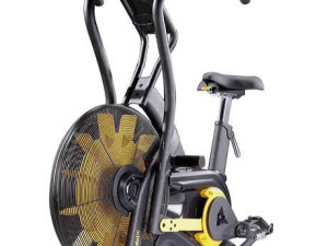 Renegade Air Bike C2