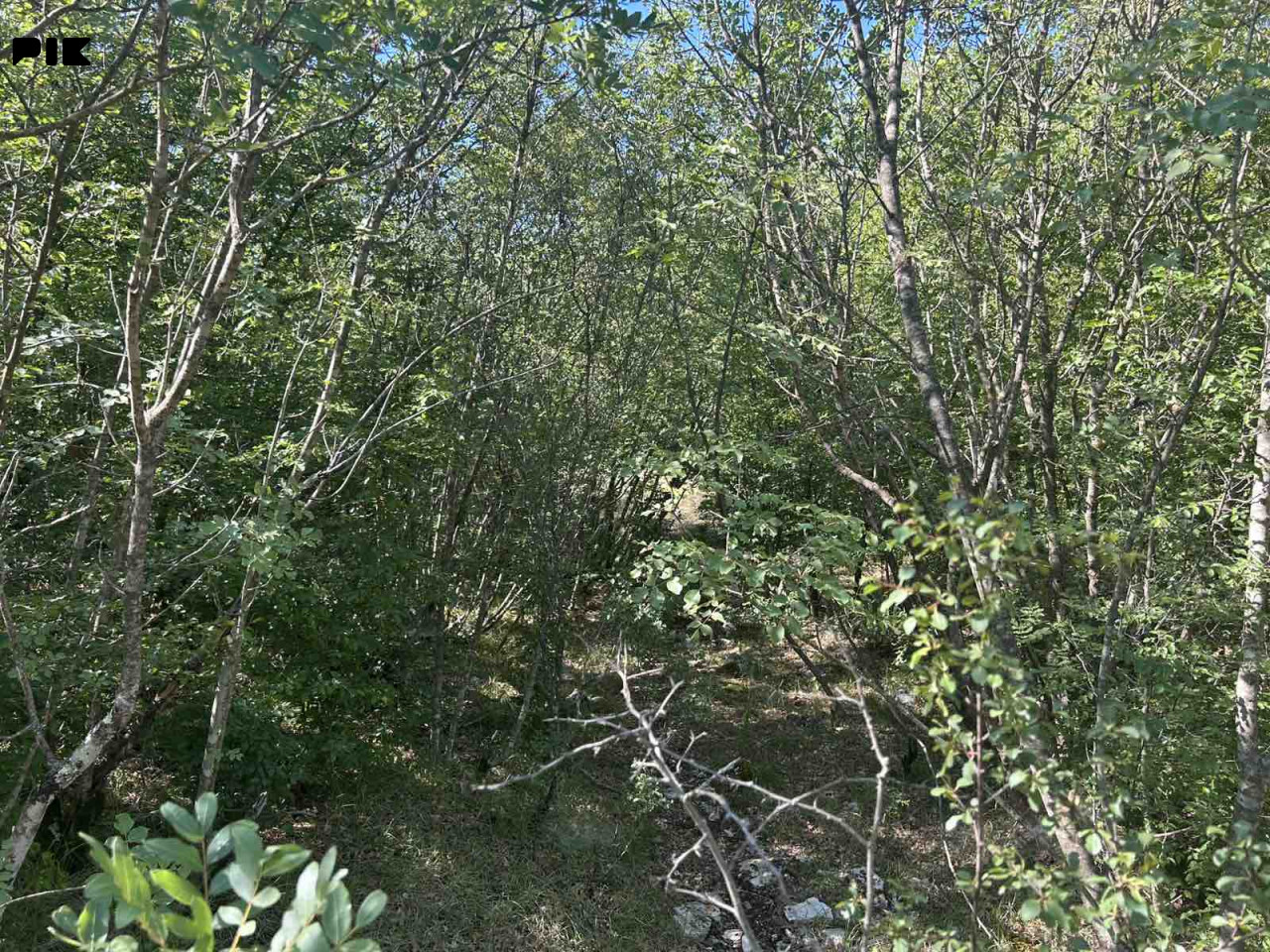 Trebinje - 14 dunuma blizu Trebišnjice za 14,3 KM/m2 2