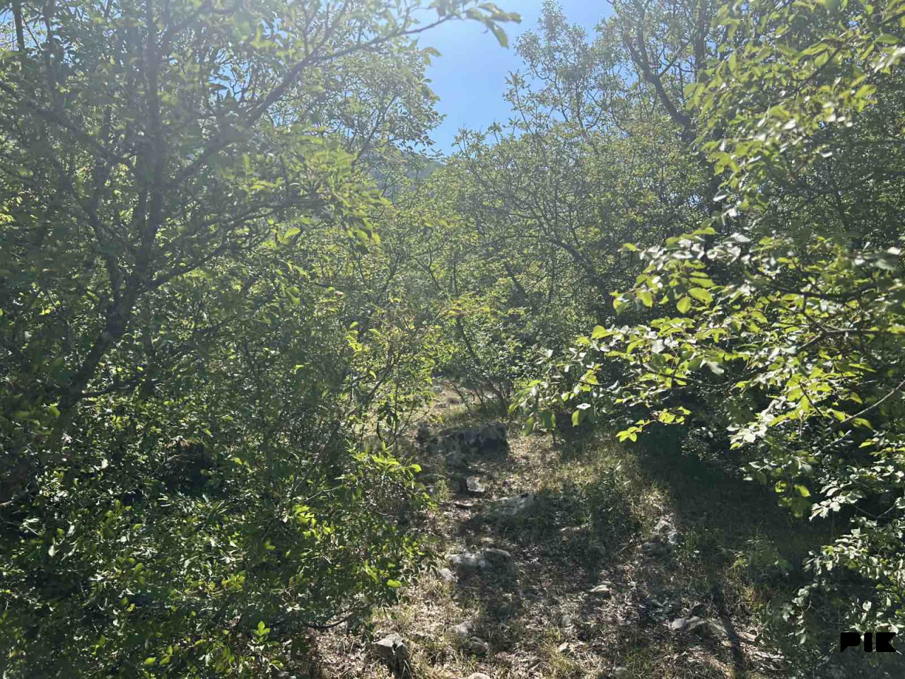Trebinje - 14 dunuma blizu Trebišnjice za 14,3 KM/m2 3