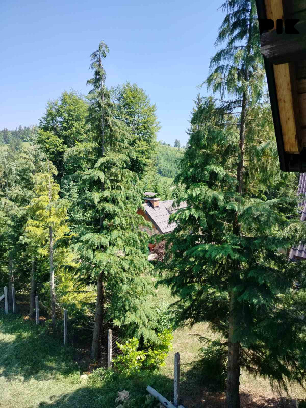 Kuće Kneževo 3