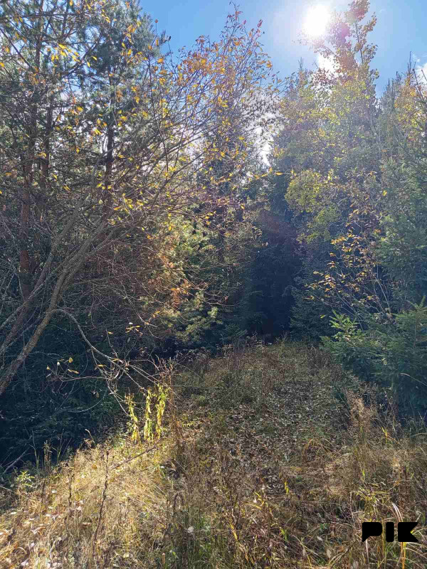 Zemljišta Han Pijesak Malo Polje 6500m2