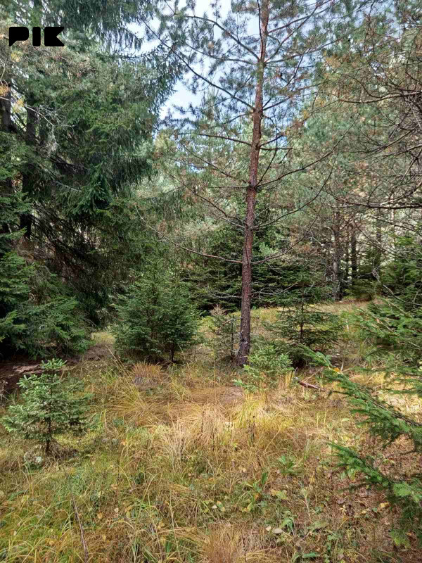 Zemljišta Han Pijesak Malo Polje 6500m2 3