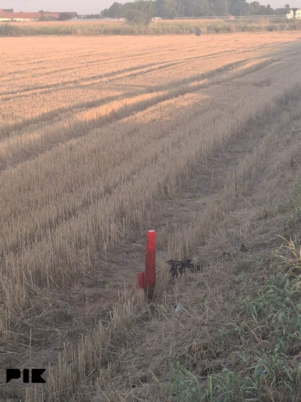 Zemljište-Njiva Bijeljina-D. Crnjelovo 9000m2 2
