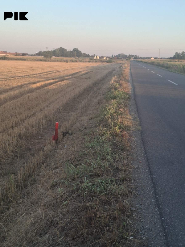 Zemljište-Njiva Bijeljina-D. Crnjelovo 9000m2