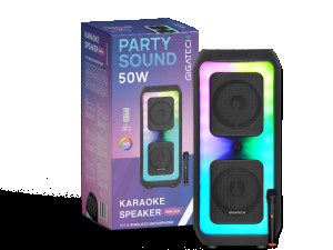 Zvučnik FM/USB/TF/AUX/TWS/BT 2x4" karaoke  wireless mikrof.
