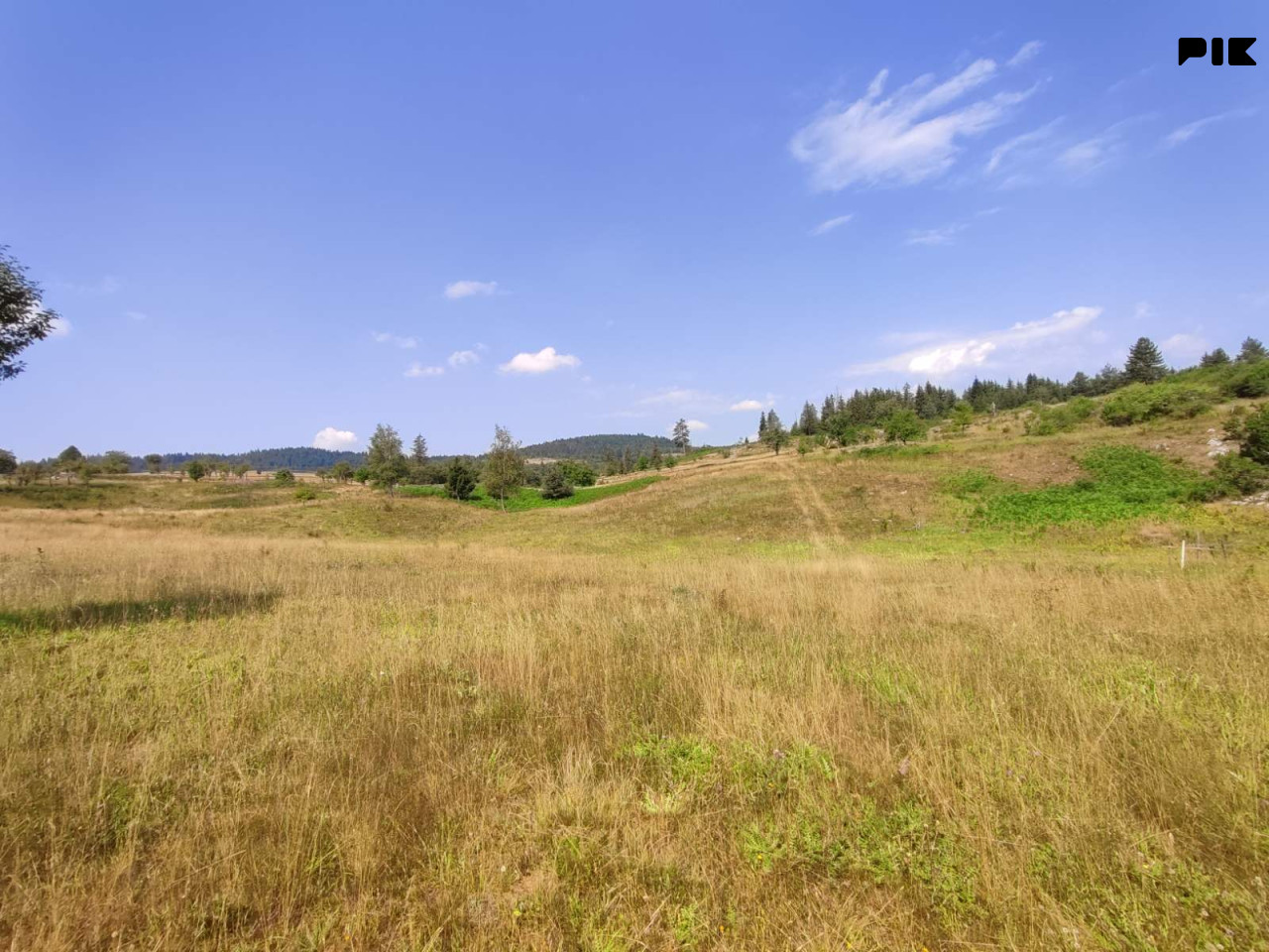 Zemljište 9.179m2, Ajdinovići, Nišići