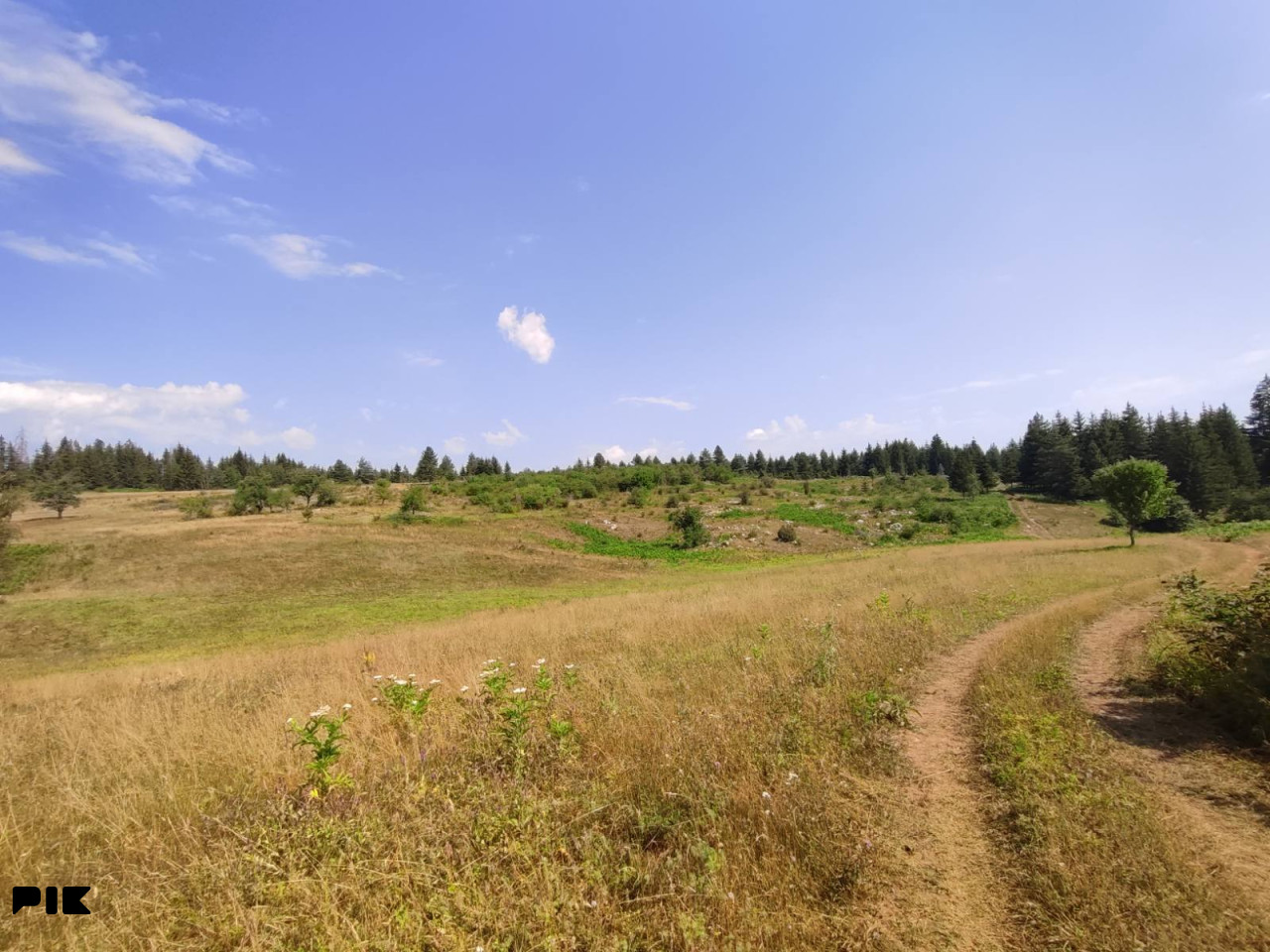 Zemljište 9.179m2, Ajdinovići, Nišići 2