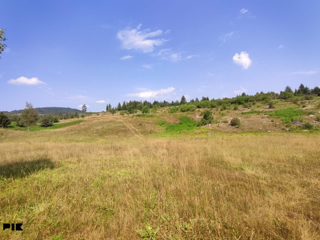 Zemljište 9.179m2, Ajdinovići, Nišići 3