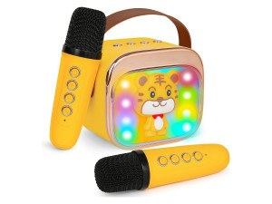 Karaoke set P12