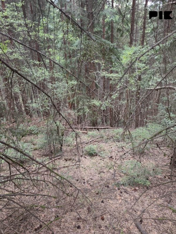 Zemljišta Pale 1020m2 3