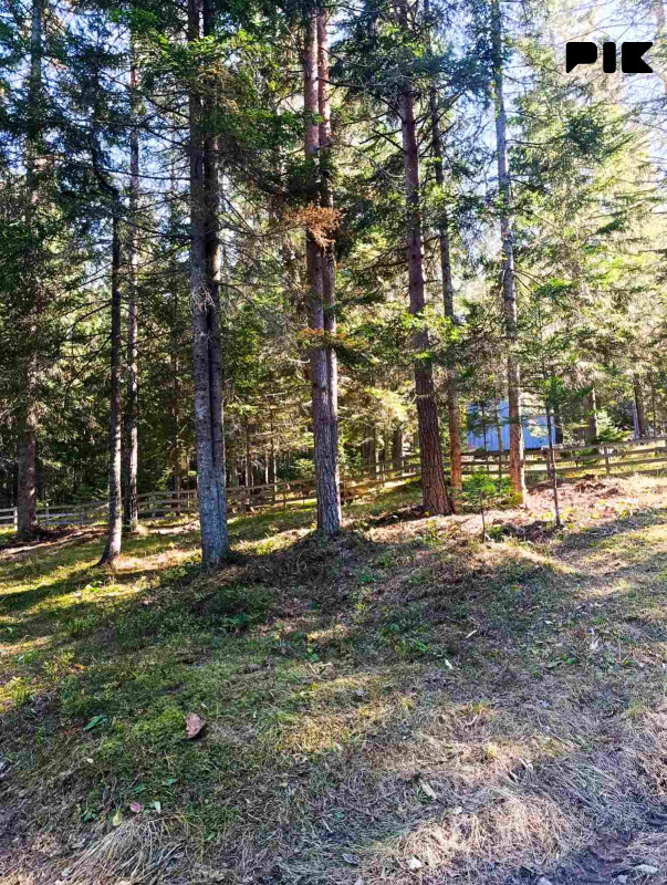 Prodaja zemljišta Nišići, Borak 1100m2,1200m2 i 1297m2