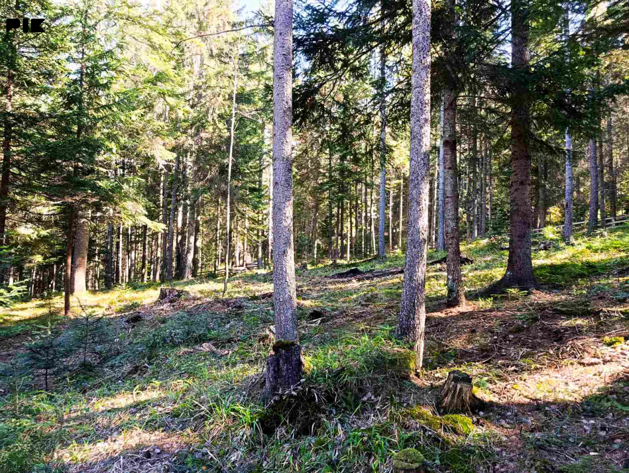 Prodaja zemljišta Nišići, Borak 1100m2,1200m2 i 1297m2 3