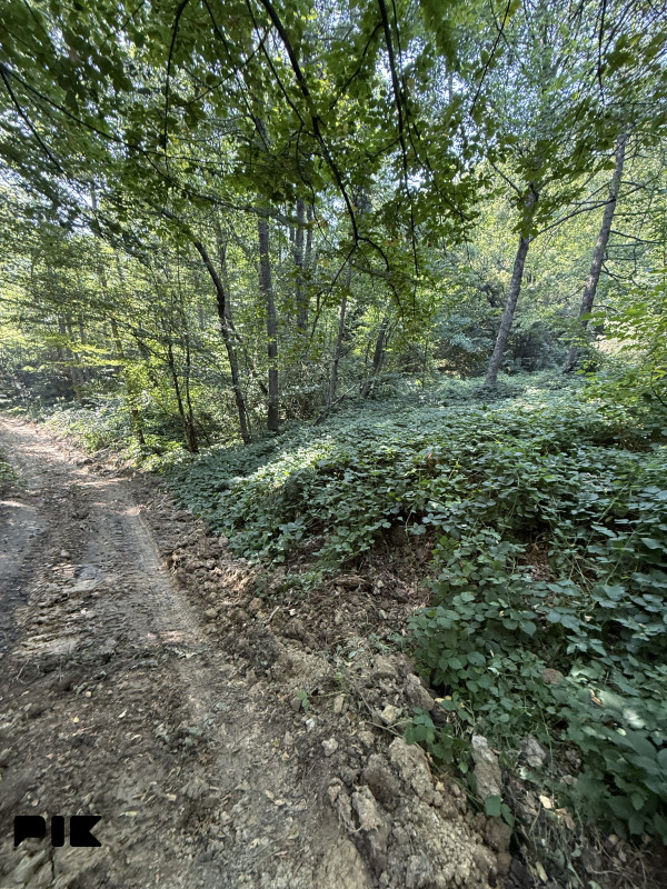 Zemljište Hadzići Drozgometva 8467 m2
