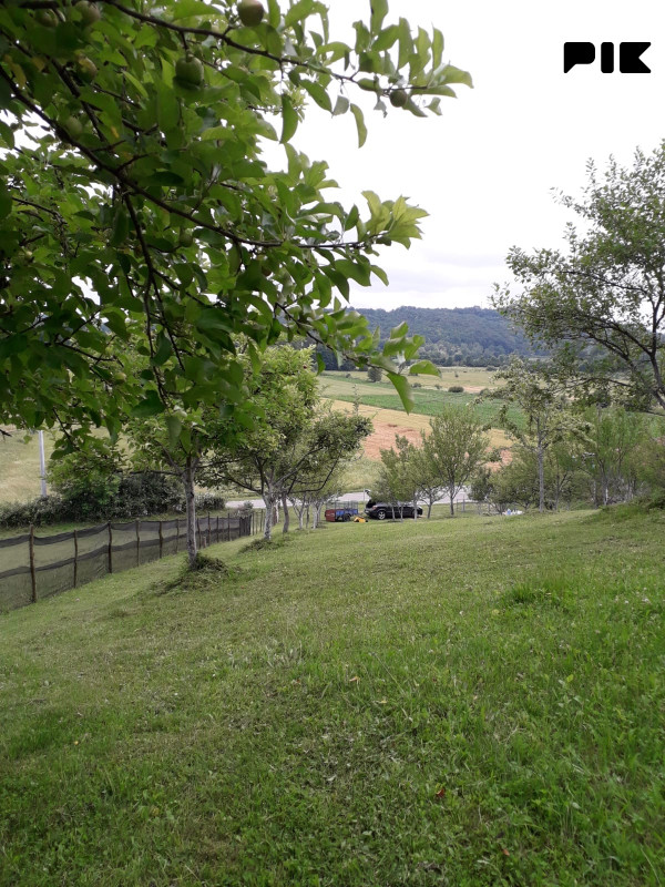 Zemljiste 2000m2 3